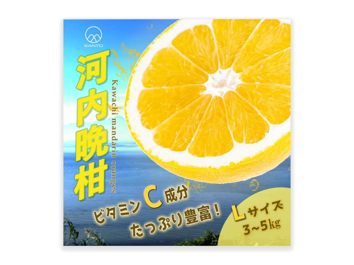 バナー　河内晩柑　